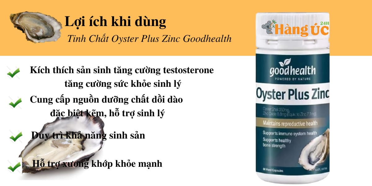 Tác dụng củaTinh chất hàu Oyster Plus Zinc Goodhealth 60 viên