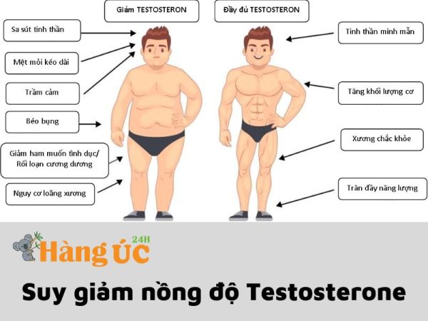 Nguyên nhân suy giảm nồng độ Testosterone nam giới