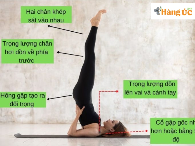 Bài tập yoga tăng khả năng thụ thai Sarvangasana – tư thế cây nến